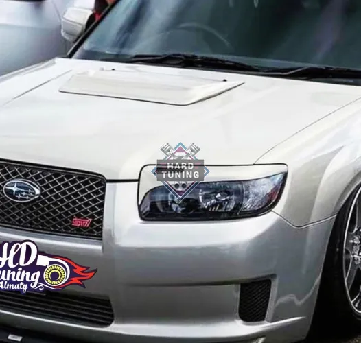 Обратный выдув Subaru Forester SG