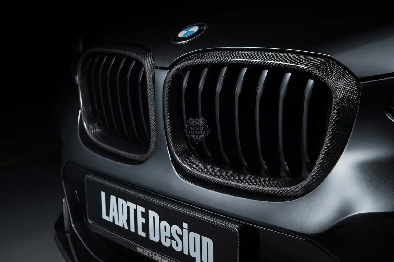 Обвес Larte Performance BMW X4 G02 ( 2018-2021 )