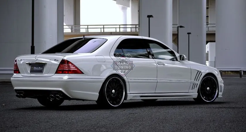 Накладки на пороги WALD BLACK BISON Mercedes S-klasse (W220)