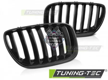 Решетки радиатора BMW X5 E53 LCI (2004-2006) GRILLE GLOSSY fits черные