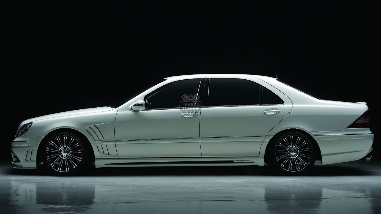 Накладки на пороги WALD BLACK BISON Mercedes S-klasse (W220)