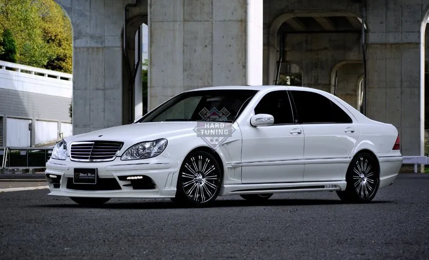 Накладки на пороги WALD BLACK BISON Mercedes S-klasse (W220)