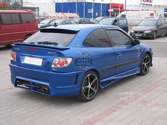Накладки на пороги INFERNO Citroen XSARA