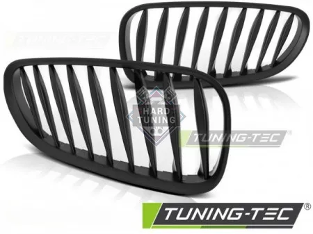 Ноздри решетки радиатора BMW Z4 (E85) (2006-2008) LCI GRILLE MATT fits черные