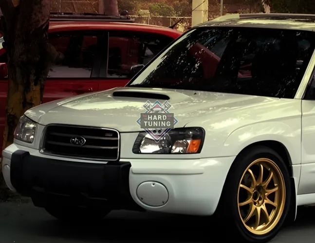 Заглушки туманок ОЕМ Subaru Forester SG Дорестайлинг