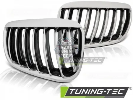 Решетки радиатора BMW X5 E53 (2004-2006) GRILLE fits хром