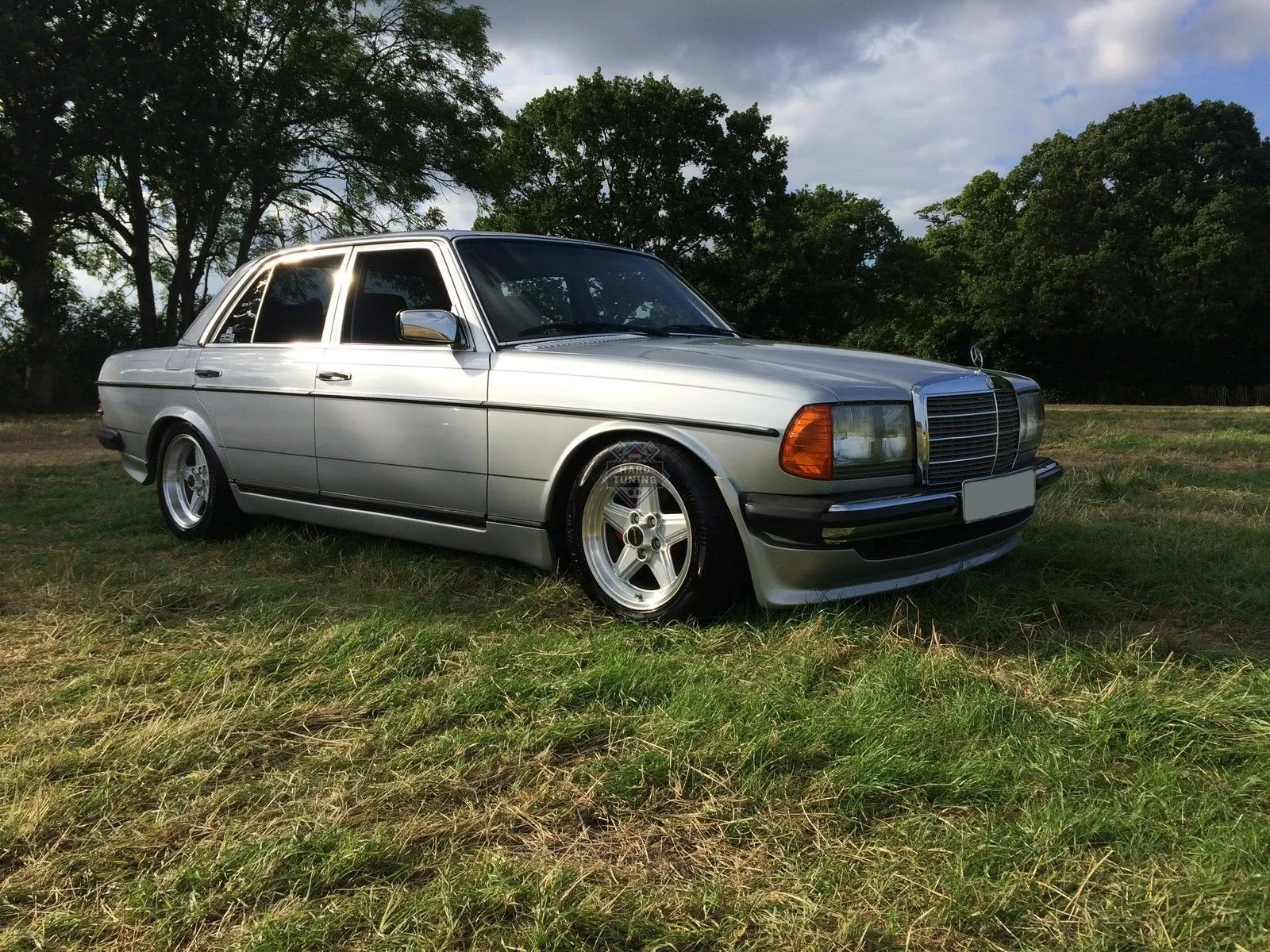 Накладки на пороги BBS Mercedes E-Class W123