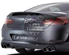 Спойлер Hamann BMW F12/F13/F06
