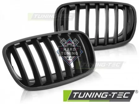 Ноздри решетки радиатора BMW X5 E70 X6 E71 08- GRILLE GLOSSY fits черные
